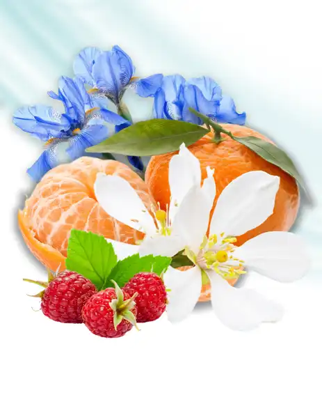 Fresh Awakening Clean Fragrance - Clean Fragrances